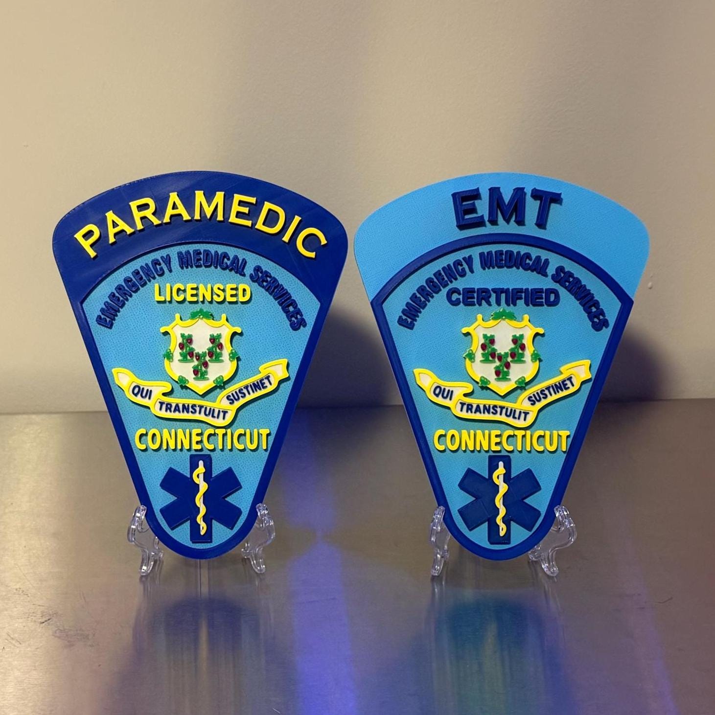 Connecticut EMT & Paramedic 3D Embossed Plaque: First Responder Wall Art CT