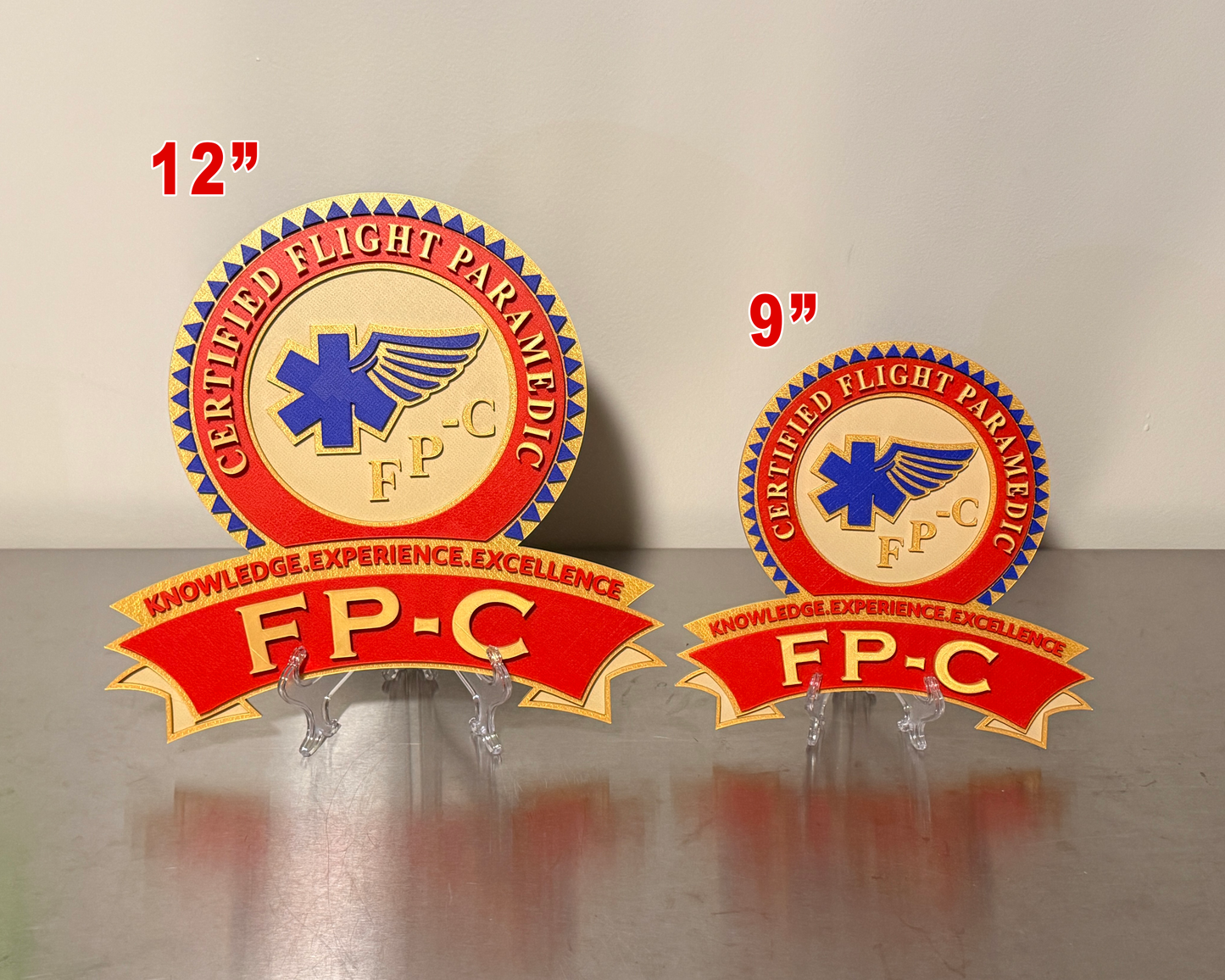 IBSC Certifications 3D Embossed Display Plaques Paramedic Ems Gift