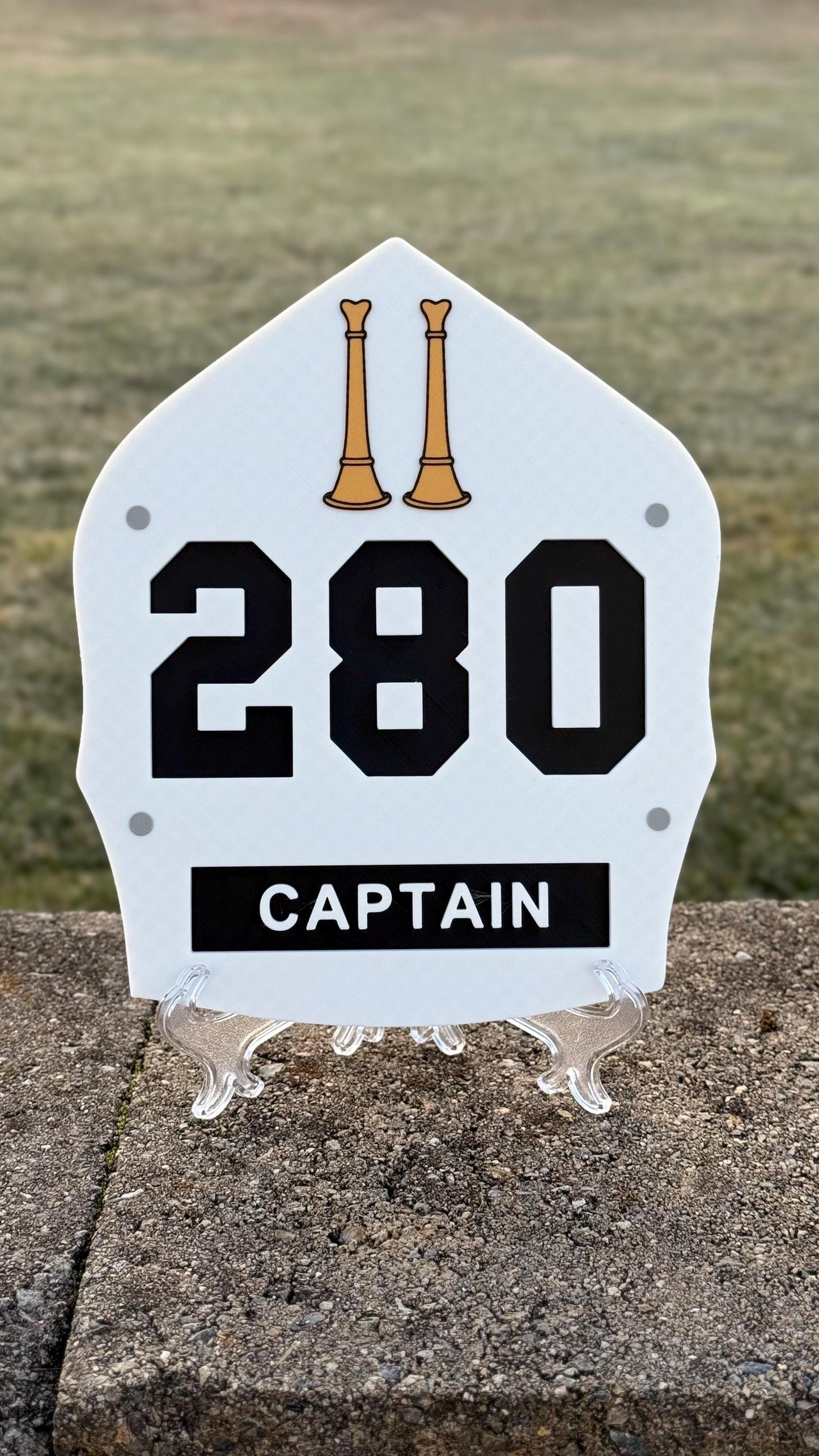FDNY Fire Helmet Shield: 3D Lieutenant & Captain Display Plaque