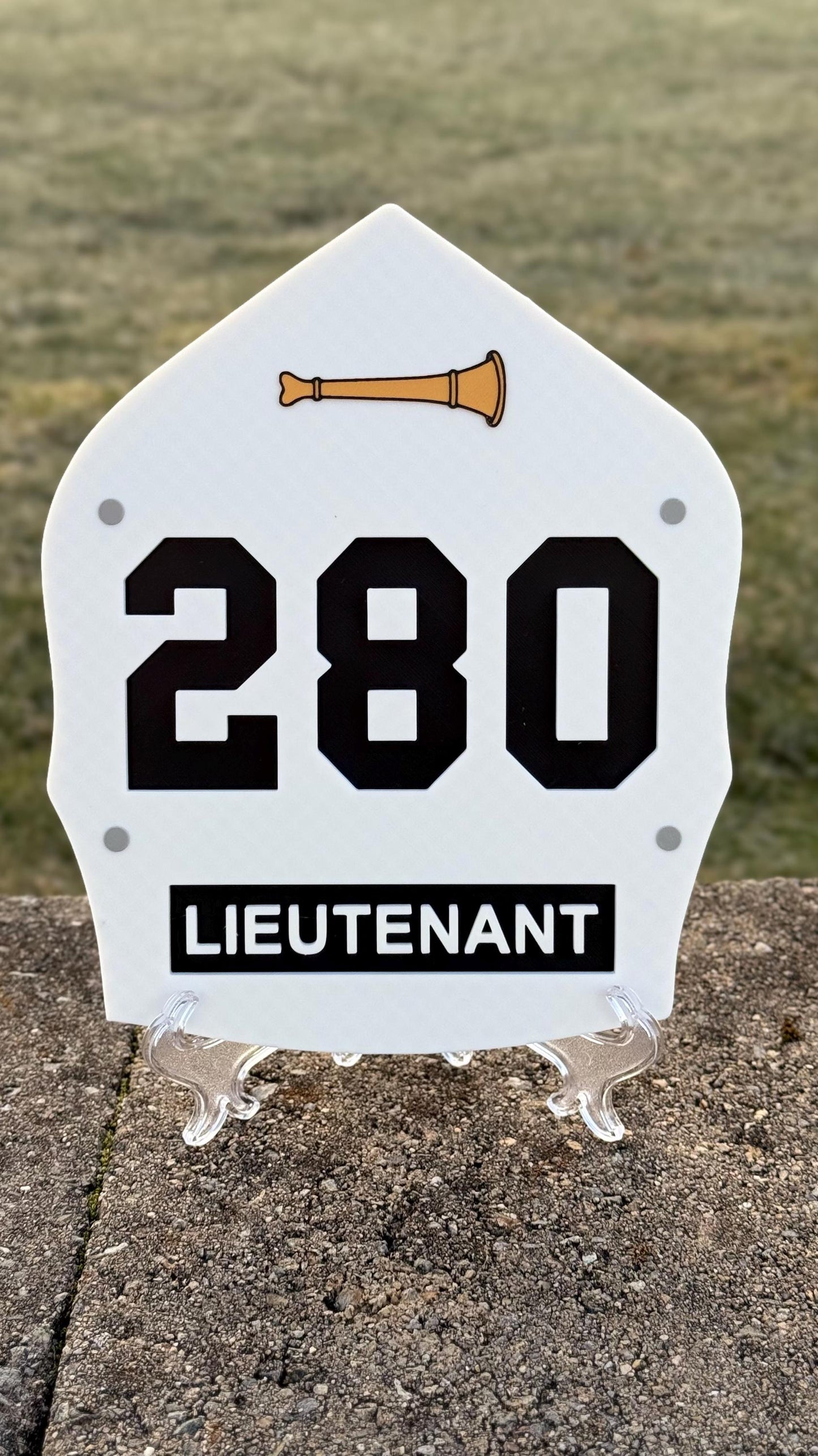 FDNY Fire Helmet Shield: 3D Lieutenant & Captain Display Plaque