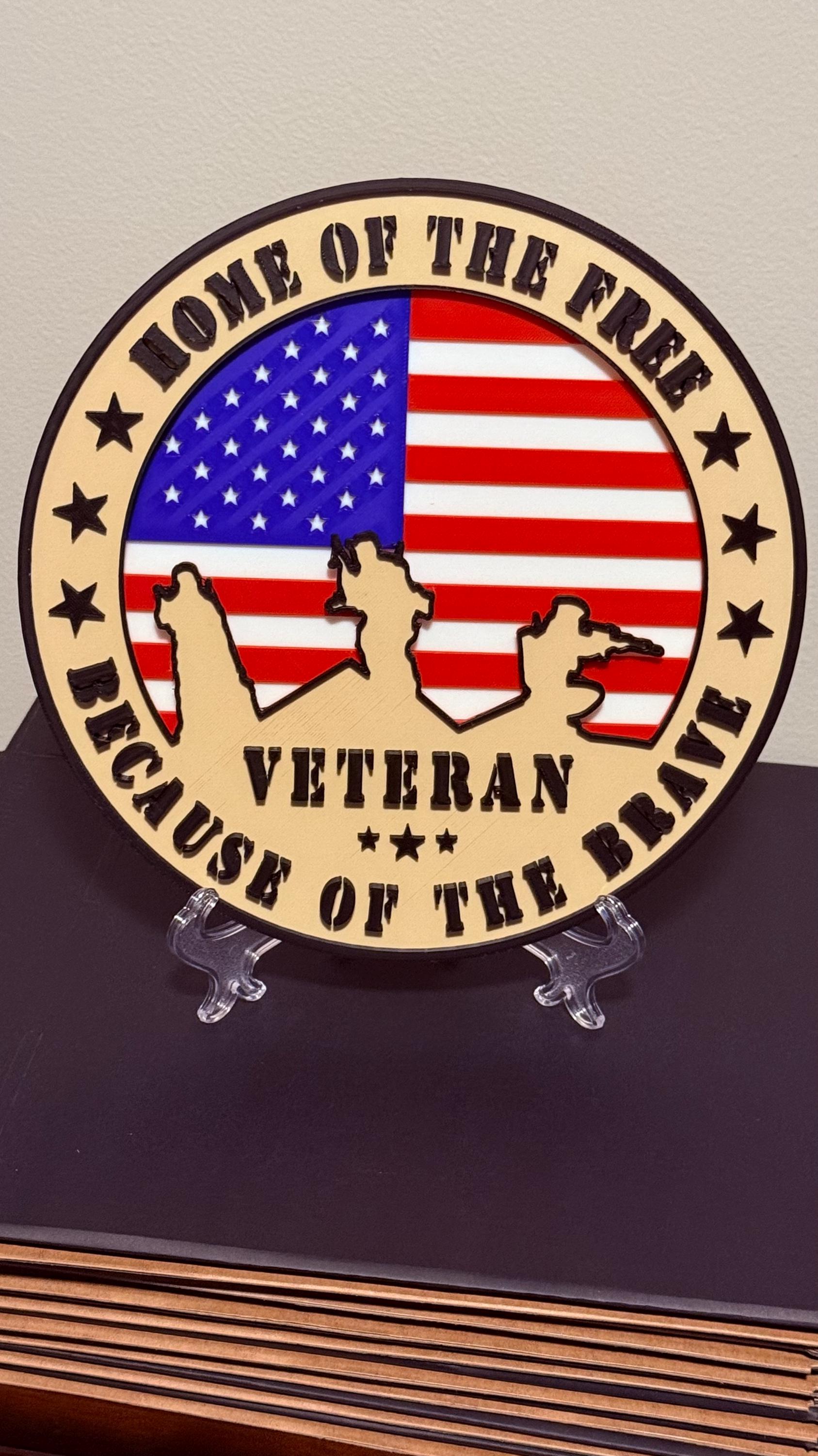 Veteran 3D Plaque Home Of The Free, Military Wall Art Display Plaque Government