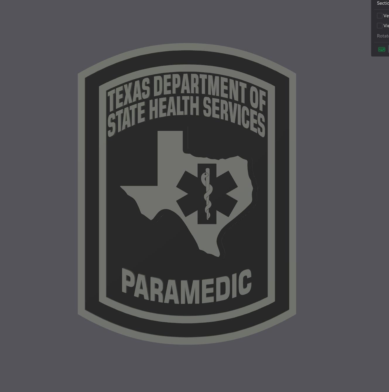 Paramedic Plaque: Texas EMS Tribute (3D Embossed Wall Art) Texas