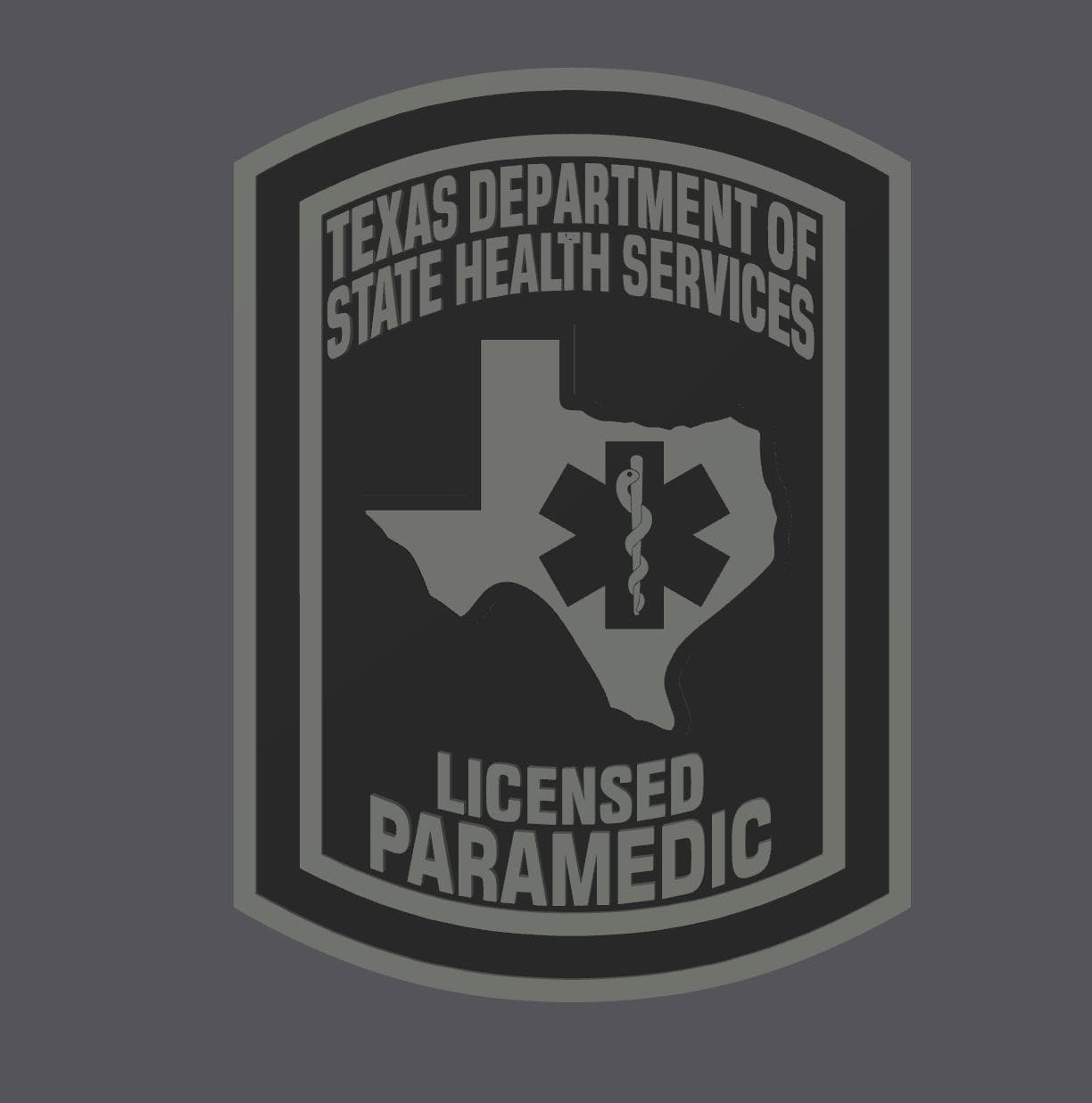 Paramedic Plaque: Texas EMS Tribute (3D Embossed Wall Art) Texas
