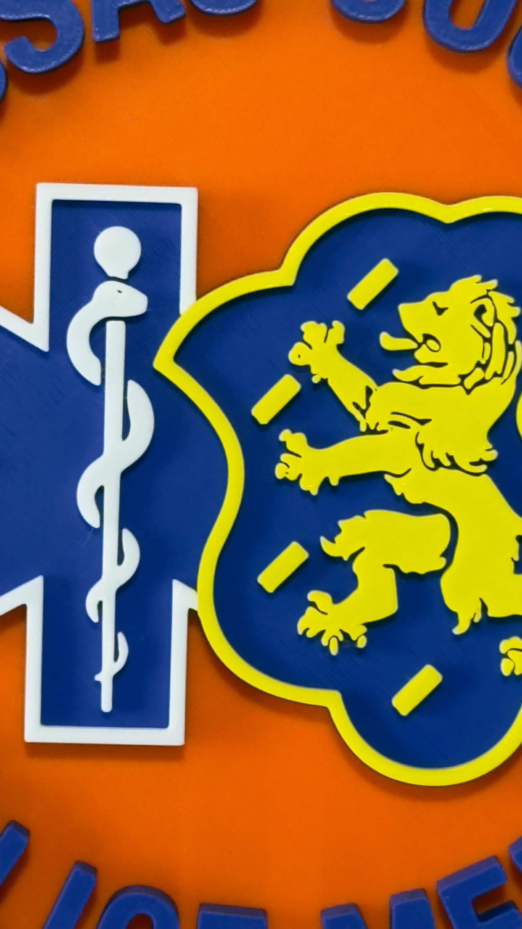 Nassau County Police Medic 3D Embossed Plaque: Long Island NY First Responder Wall Art New York