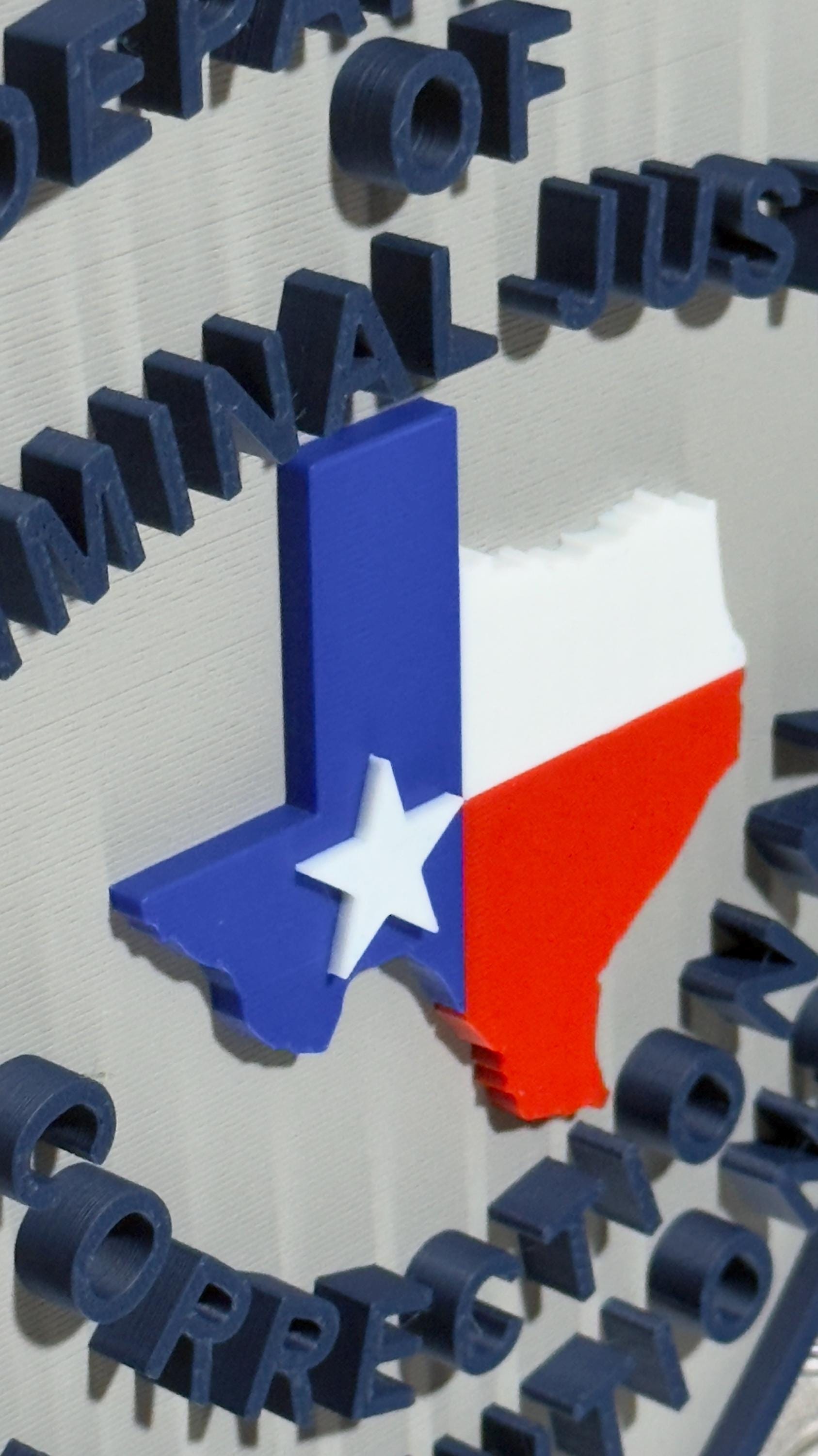Texas Correctional Institution Plaque, 3D Embossed First Responder Wall Art