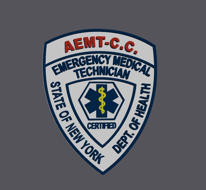 NYS Paramedic EMT 3D Display Plaque First Responder Display Plaque NY New York New York
