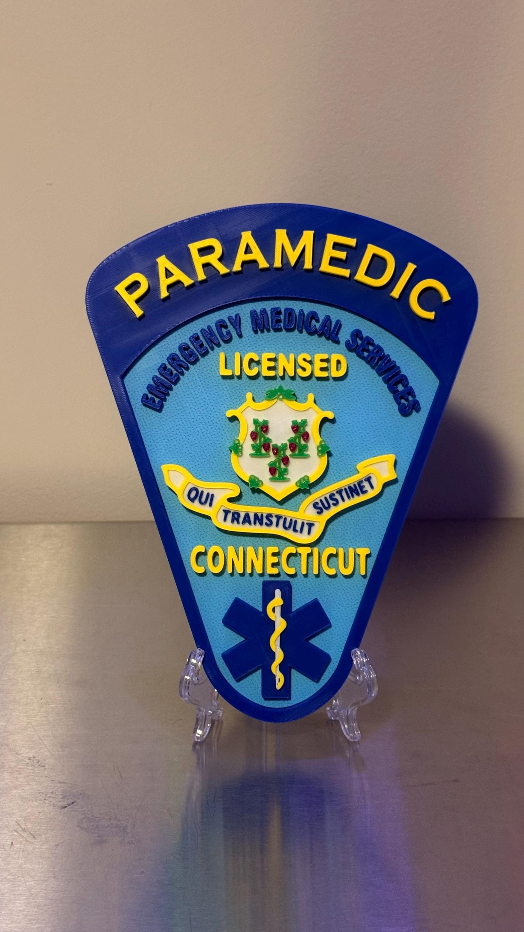 Connecticut EMT & Paramedic 3D Embossed Plaque: First Responder Wall Art CT