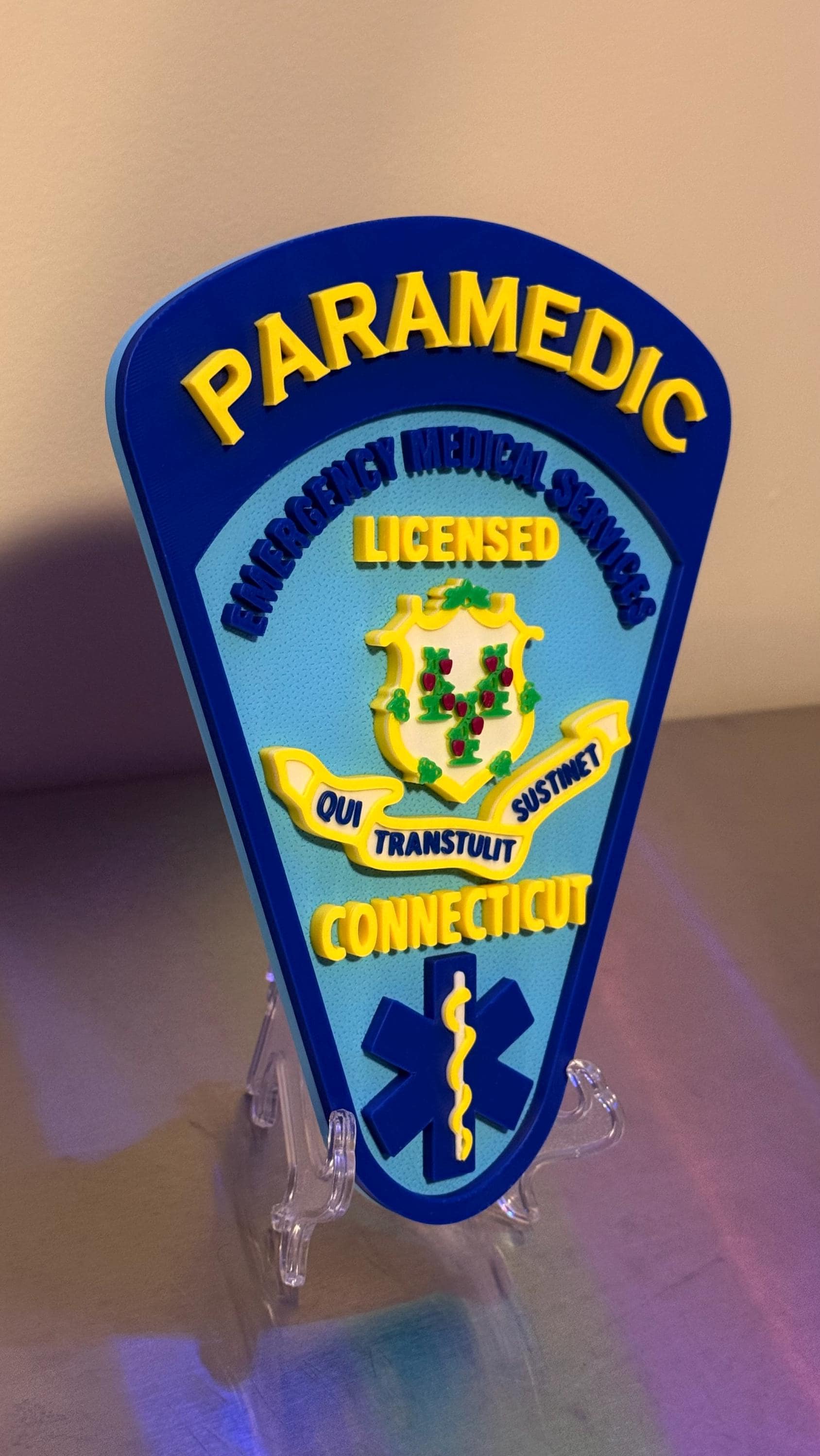 Connecticut EMT & Paramedic 3D Embossed Plaque: First Responder Wall Art CT