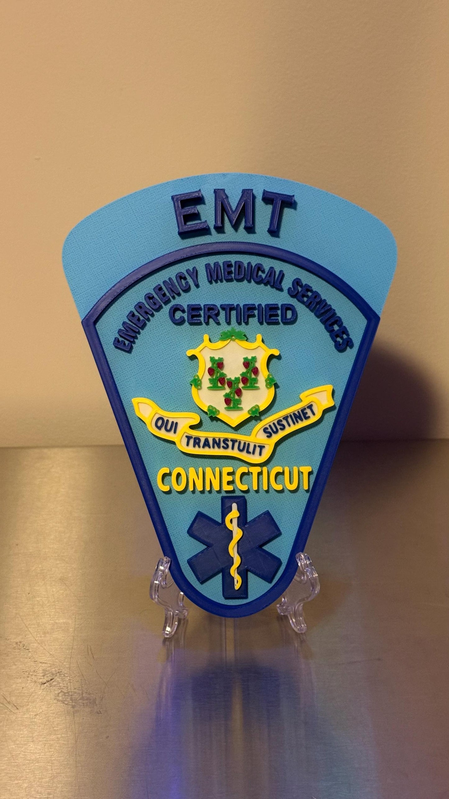 Connecticut EMT & Paramedic 3D Embossed Plaque: First Responder Wall Art CT