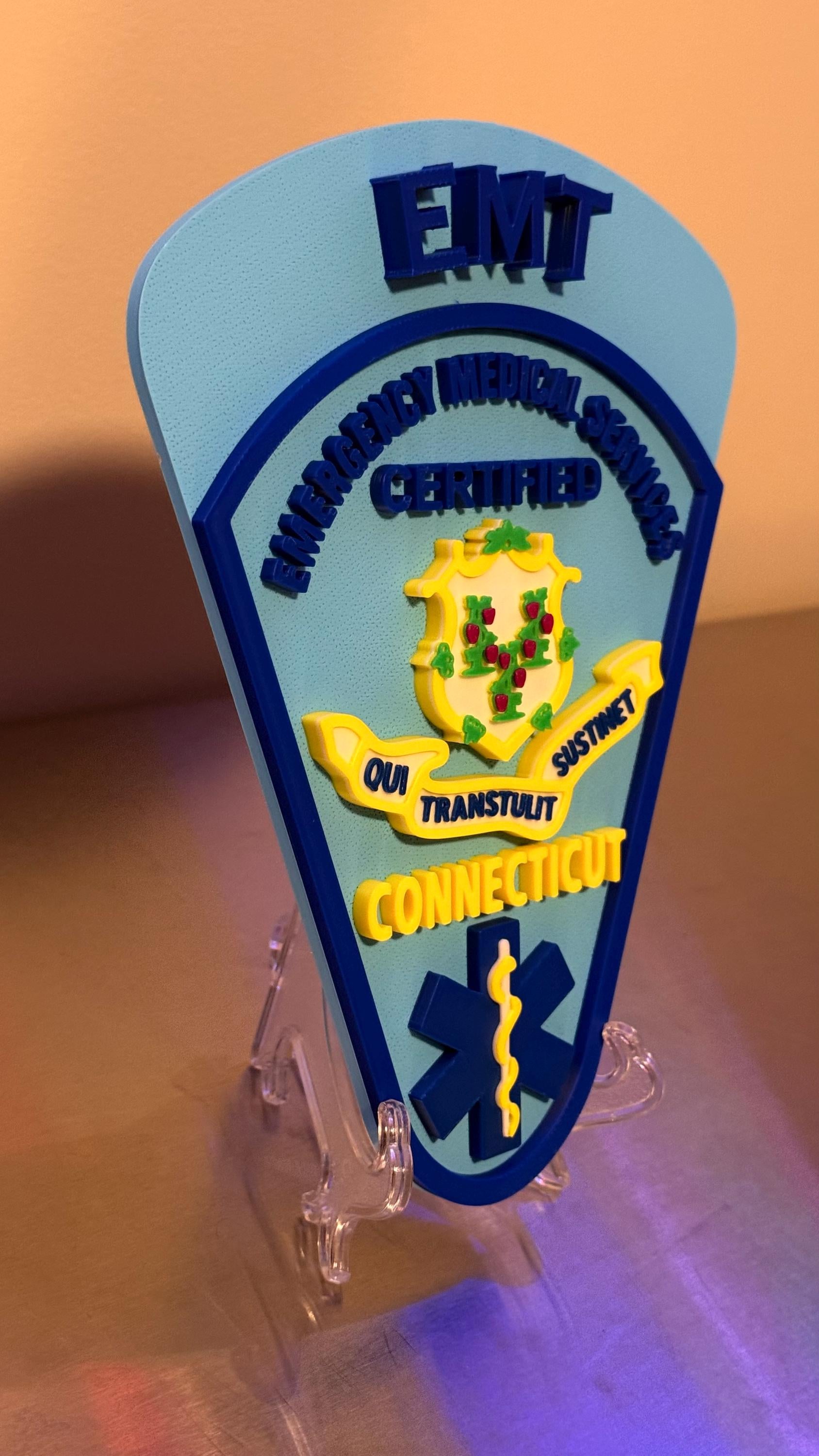 Connecticut EMT & Paramedic 3D Embossed Plaque: First Responder Wall Art CT