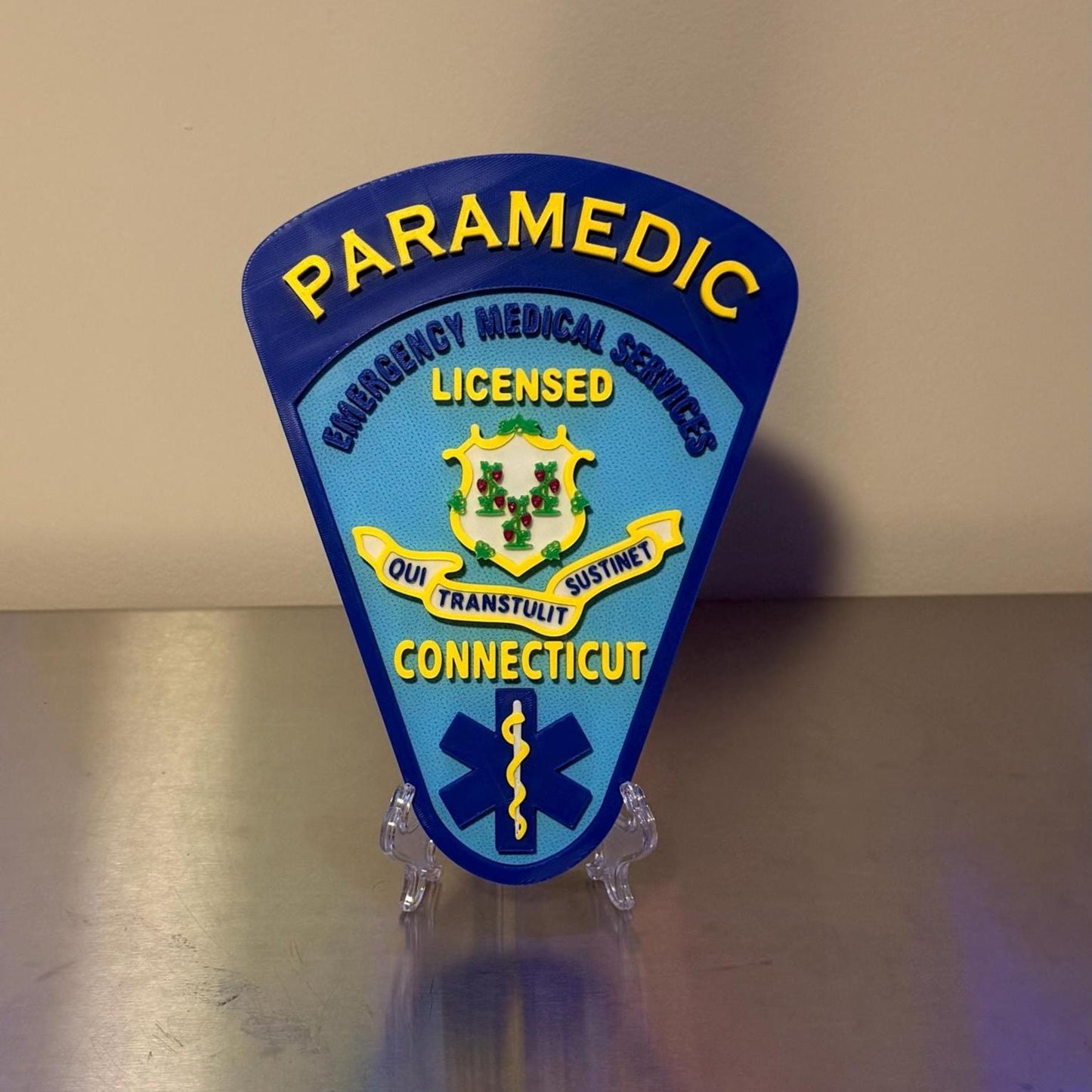 Connecticut EMT & Paramedic 3D Embossed Plaque: First Responder Wall Art CT