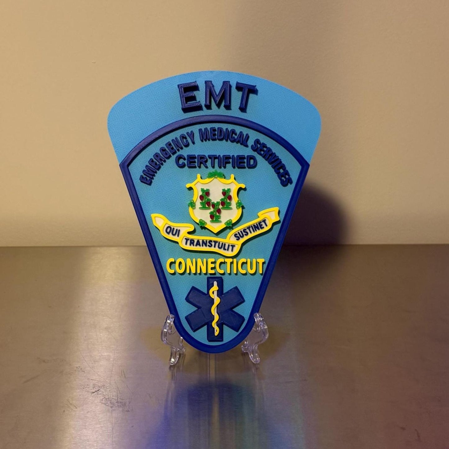 Connecticut EMT & Paramedic 3D Embossed Plaque: First Responder Wall Art CT
