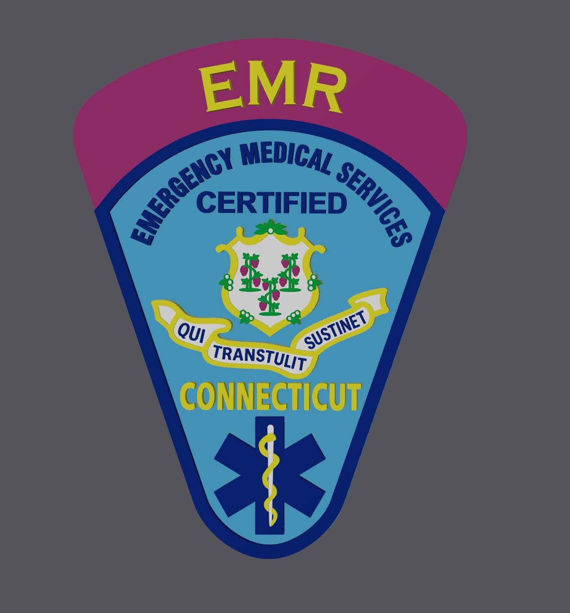 Connecticut EMT & Paramedic 3D Embossed Plaque: First Responder Wall Art CT