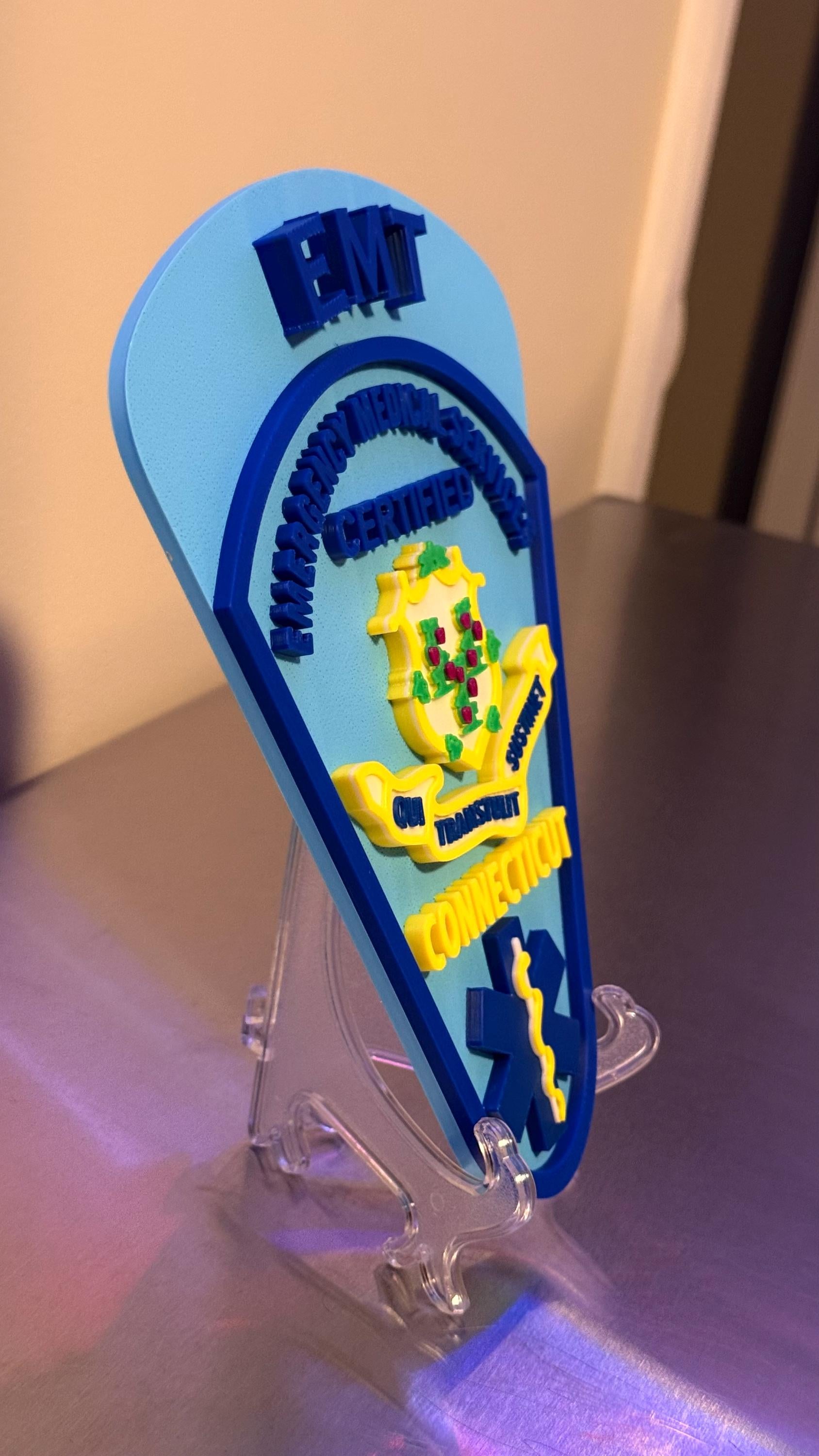 Connecticut EMT & Paramedic 3D Embossed Plaque: First Responder Wall Art CT