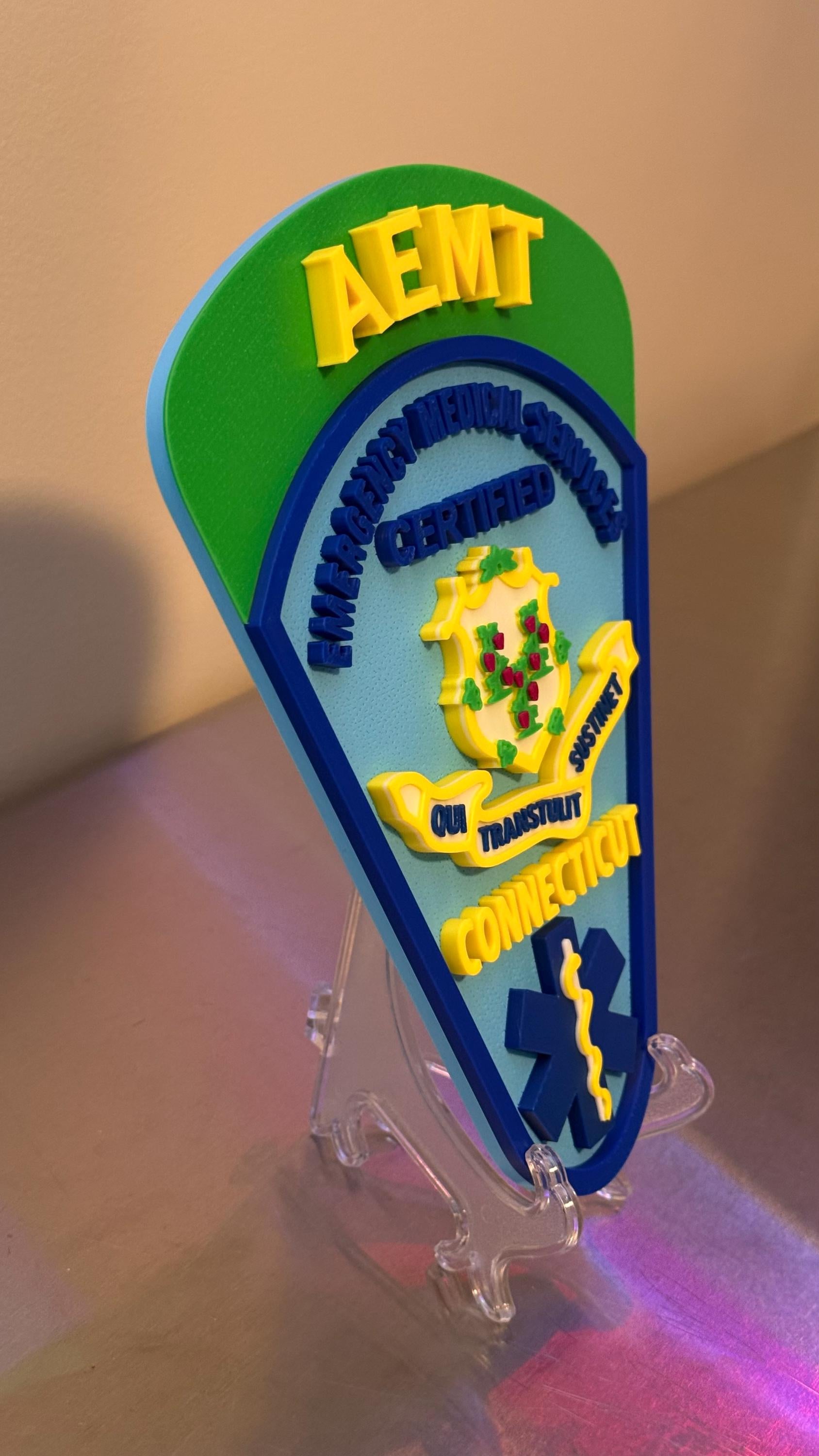 Connecticut EMT & Paramedic 3D Embossed Plaque: First Responder Wall Art CT