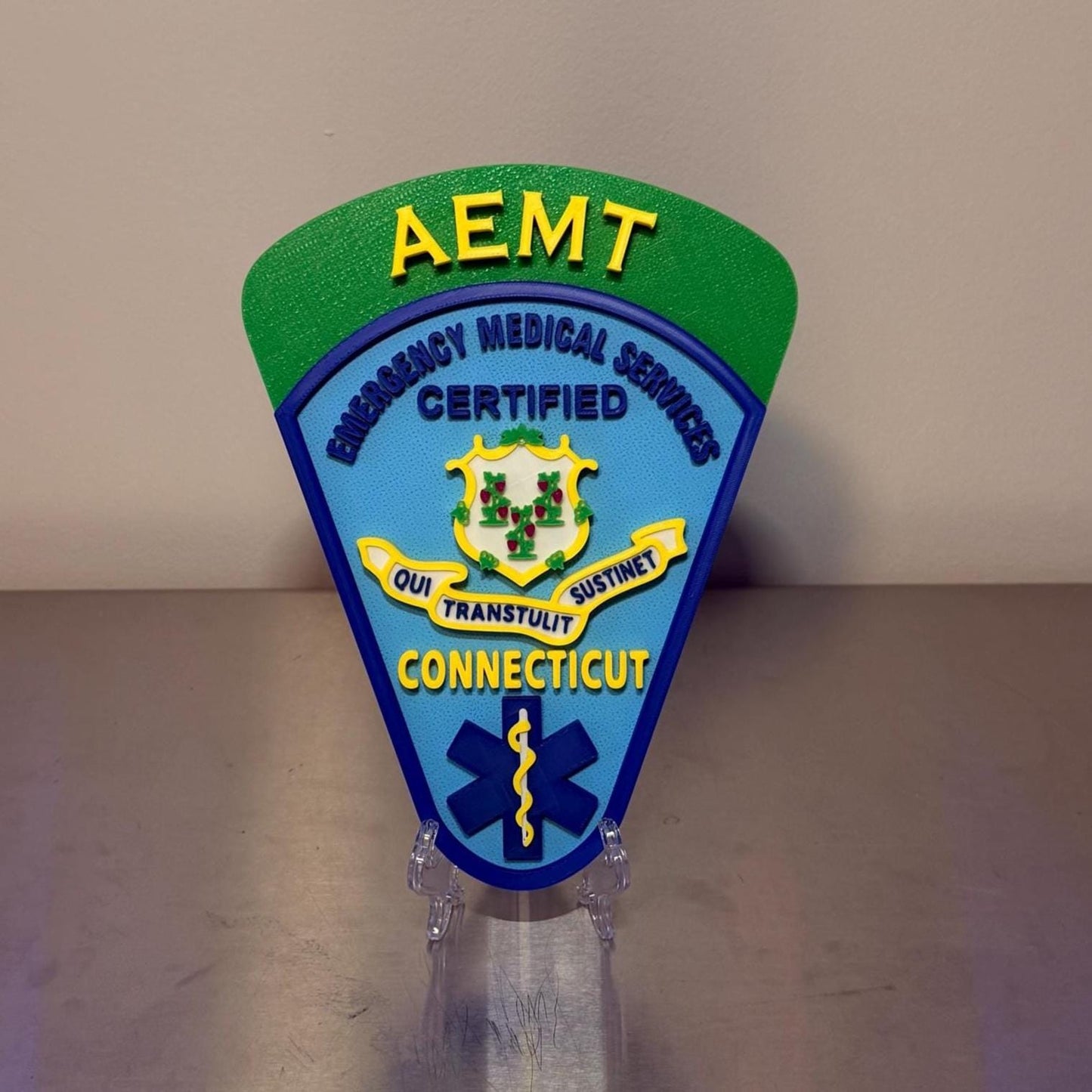 Connecticut EMT & Paramedic 3D Embossed Plaque: First Responder Wall Art CT