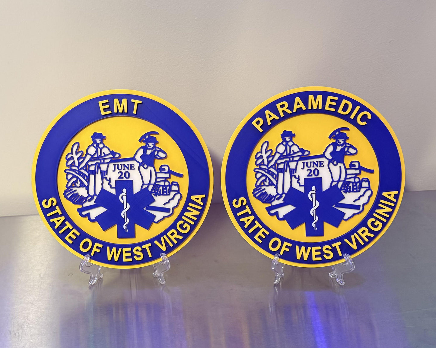 West Virginia EMT & Paramedic EMS 3D Embossed Display Plaque WE