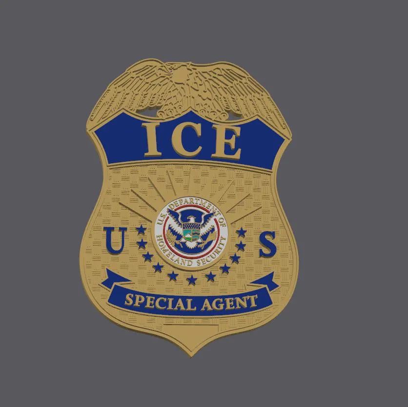 DHS ICE Badge 6 COLOR Display 3D Embossed Police Plaque - Government