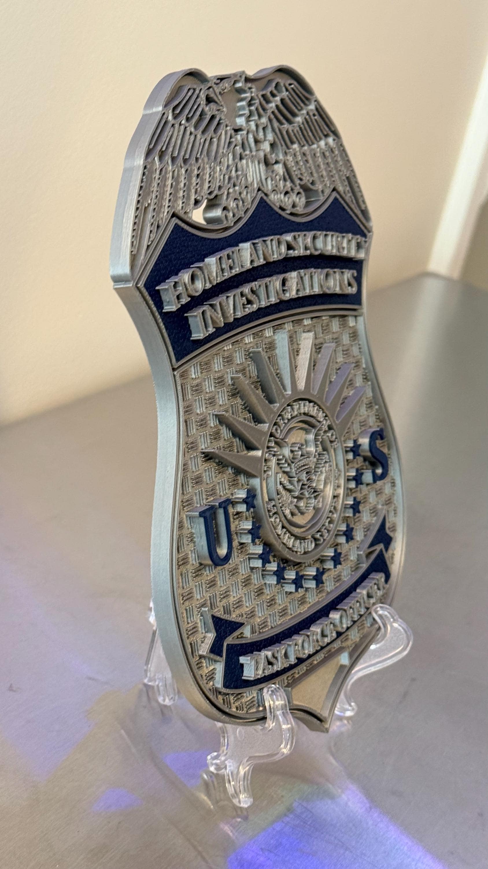 HSI Homeland Security Investigations Badge Display: 3D Embossed Police Plaque - Government ICE