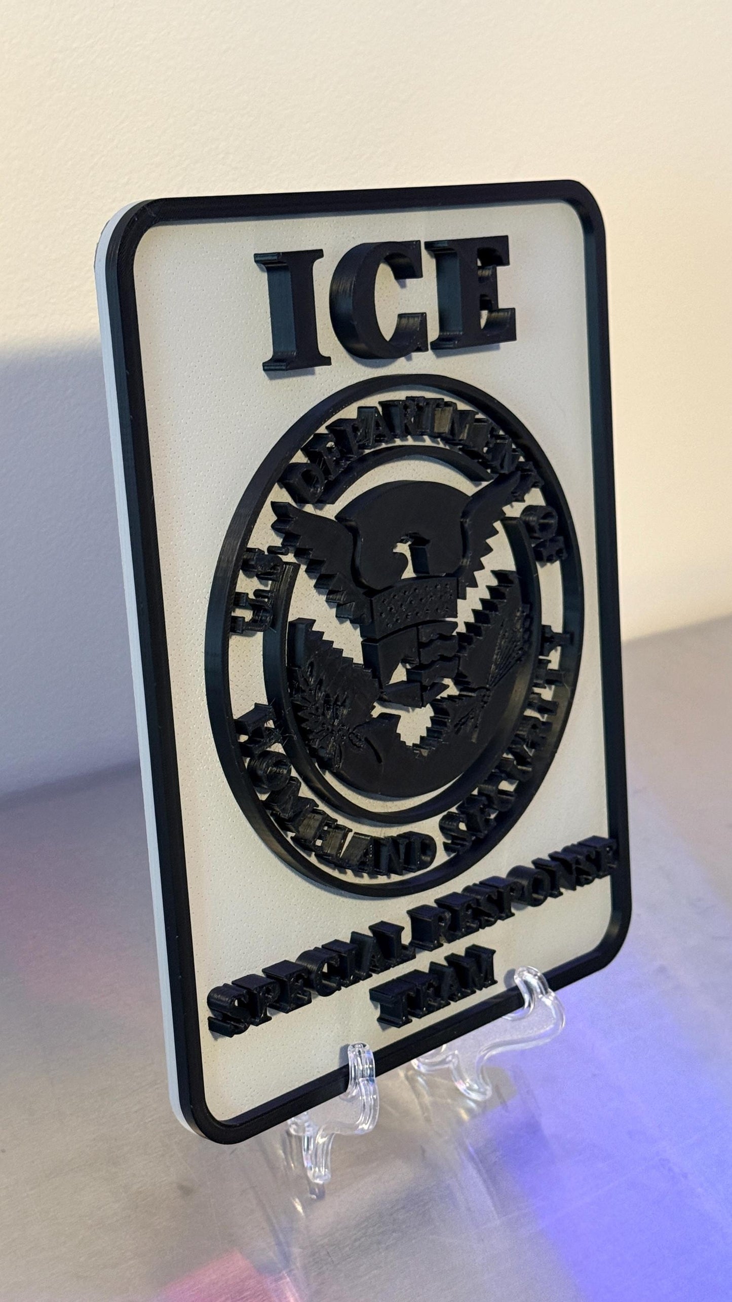 DHS ICE Special Response Team 3D Embossed Plaque: First Responder Wall Art Homeland Security Government