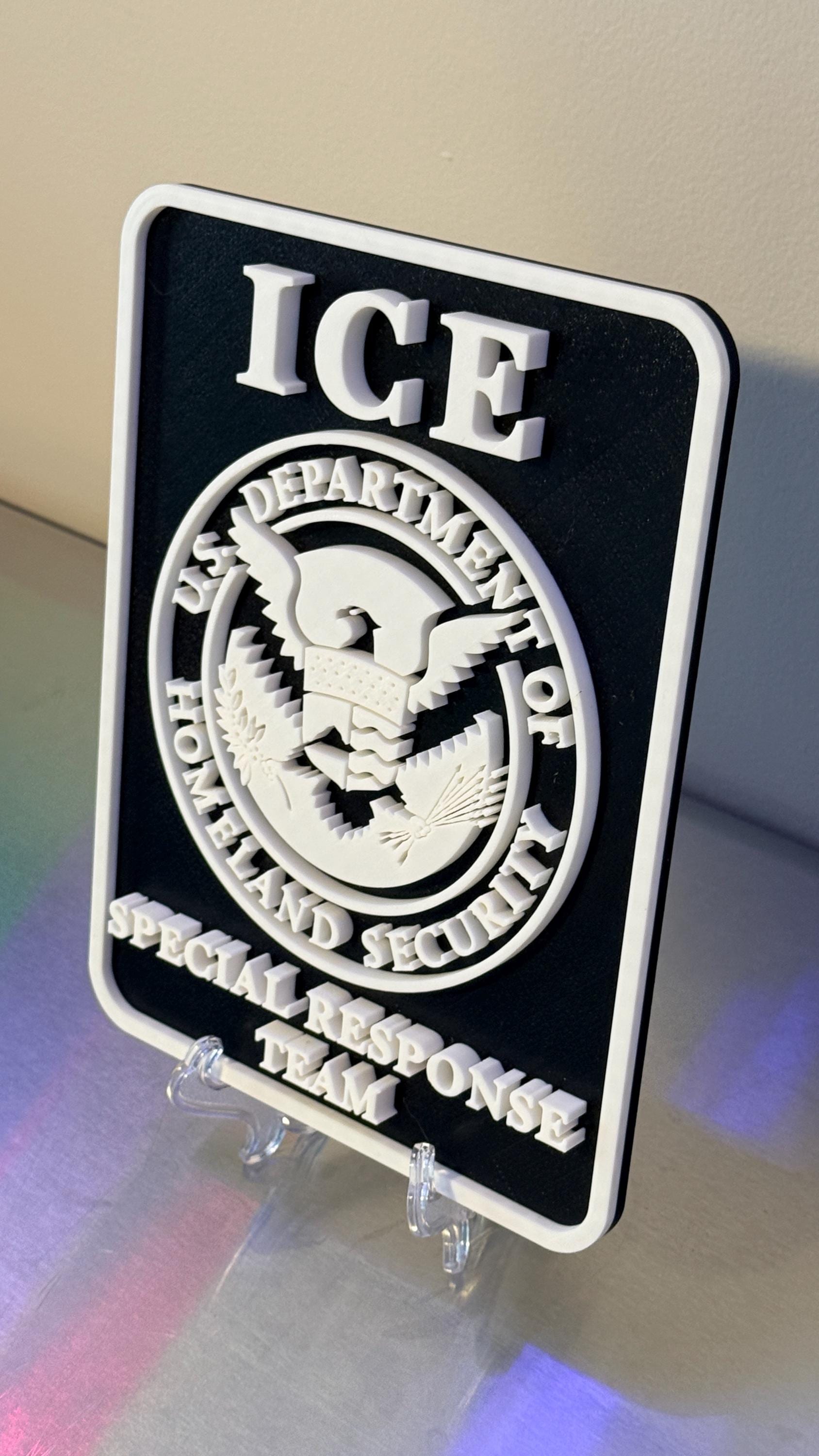 DHS ICE Special Response Team 3D Embossed Plaque: First Responder Wall Art Homeland Security Government