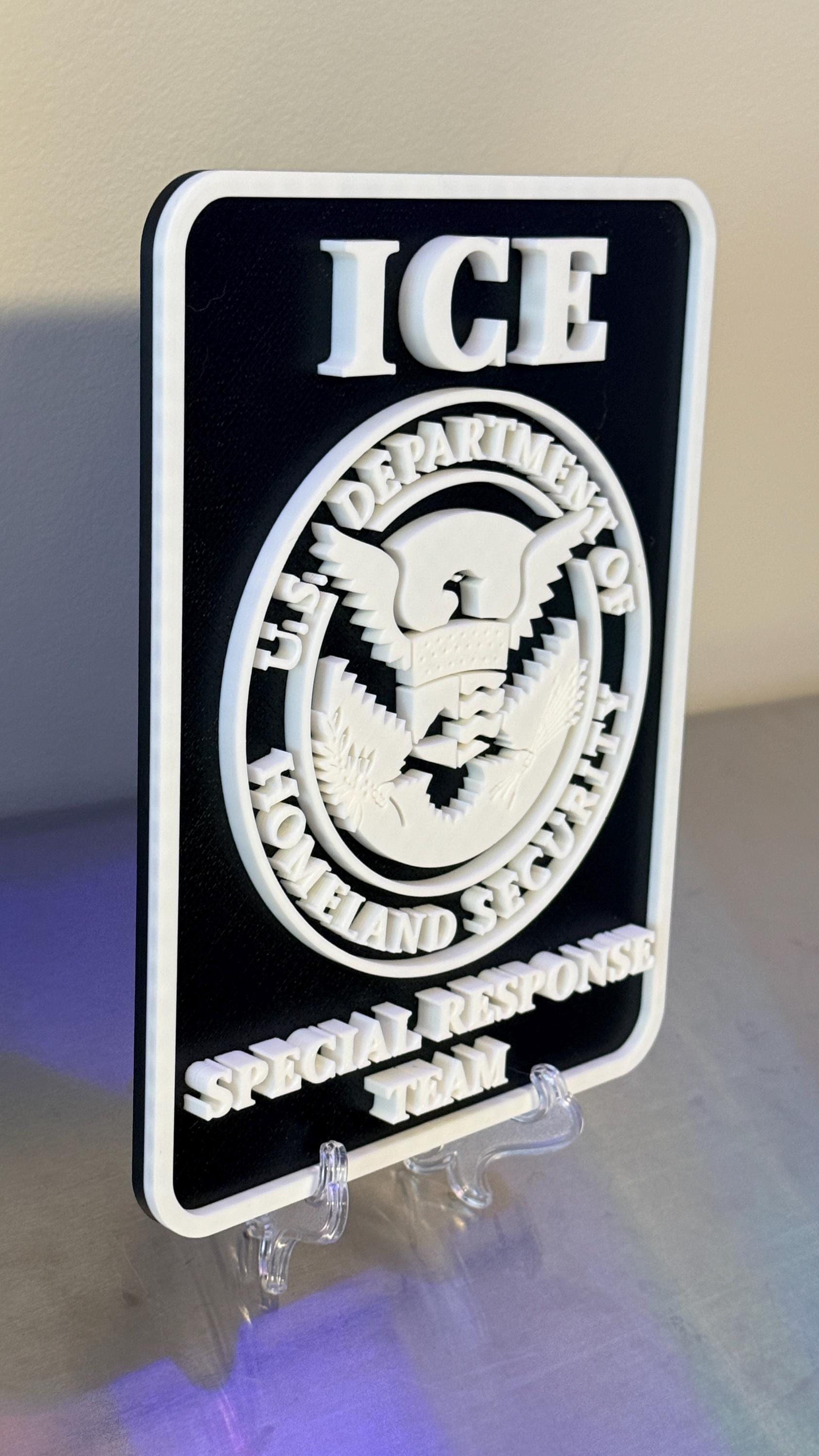 DHS ICE Special Response Team 3D Embossed Plaque: First Responder Wall Art Homeland Security Government