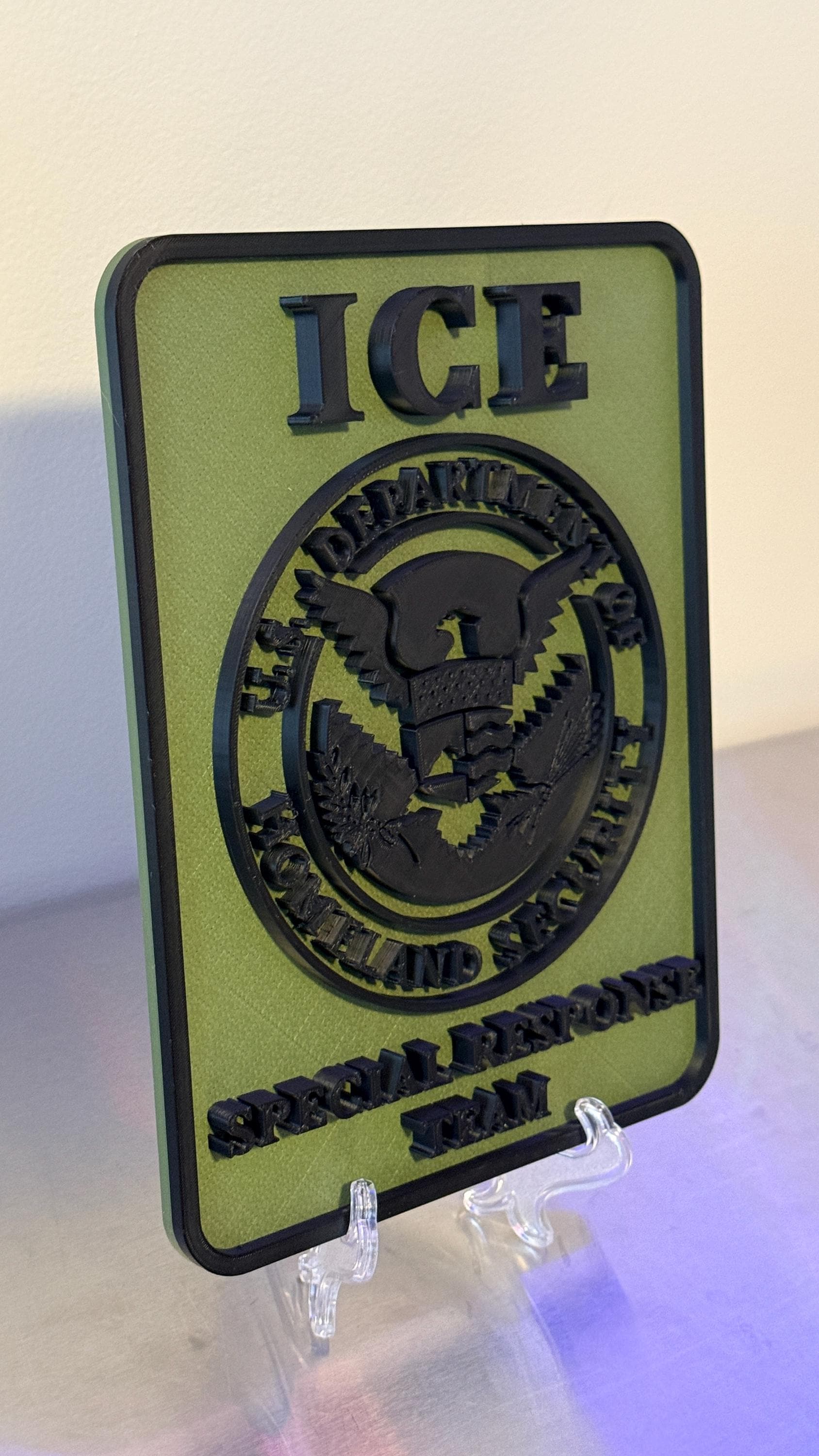 DHS ICE Special Response Team 3D Embossed Plaque: First Responder Wall Art Homeland Security Government
