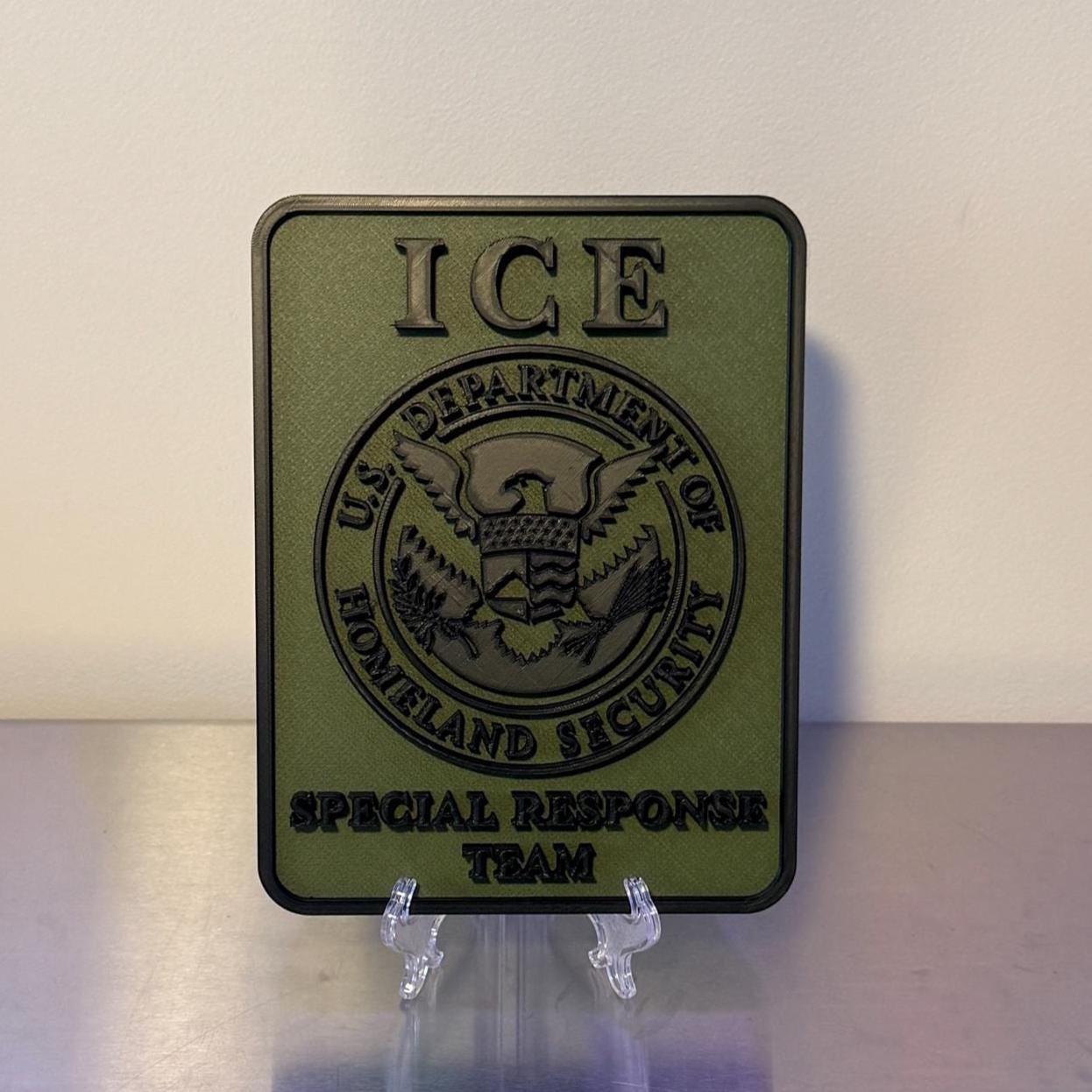 DHS ICE Special Response Team 3D Embossed Plaque: First Responder Wall Art Homeland Security Government