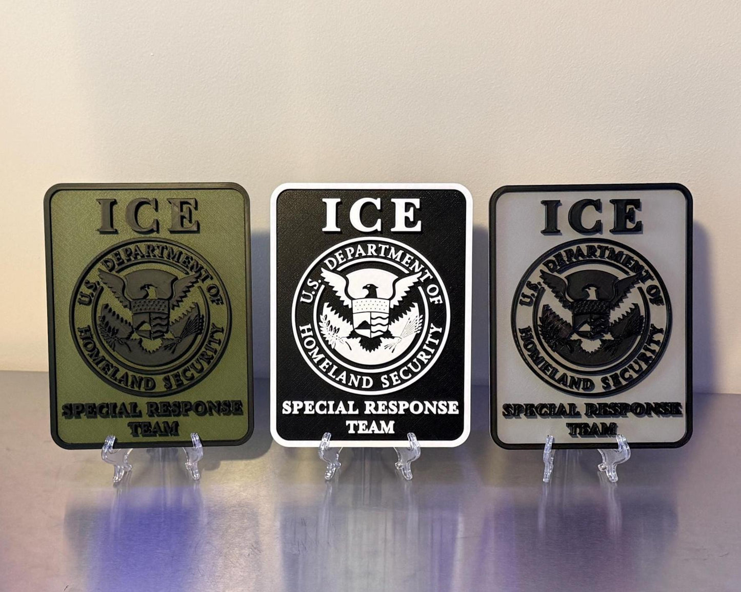 DHS ICE Special Response Team 3D Embossed Plaque: First Responder Wall Art Homeland Security Government